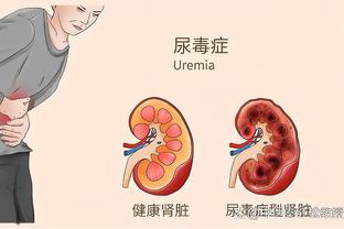 开云手机版登录入口在哪截图1